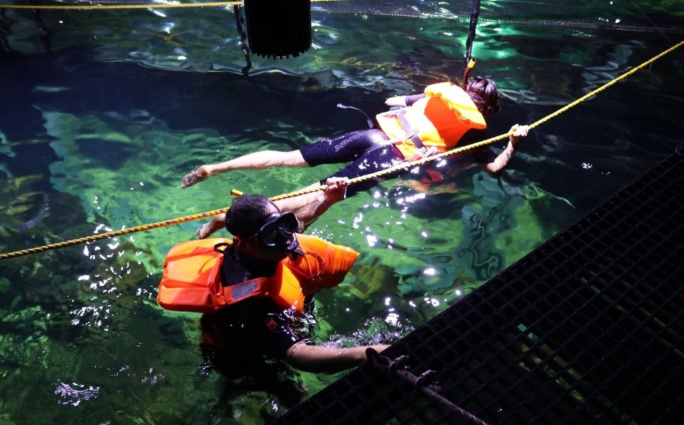 La experiencia de la inmersión o del snorkel (Acuario Michin)